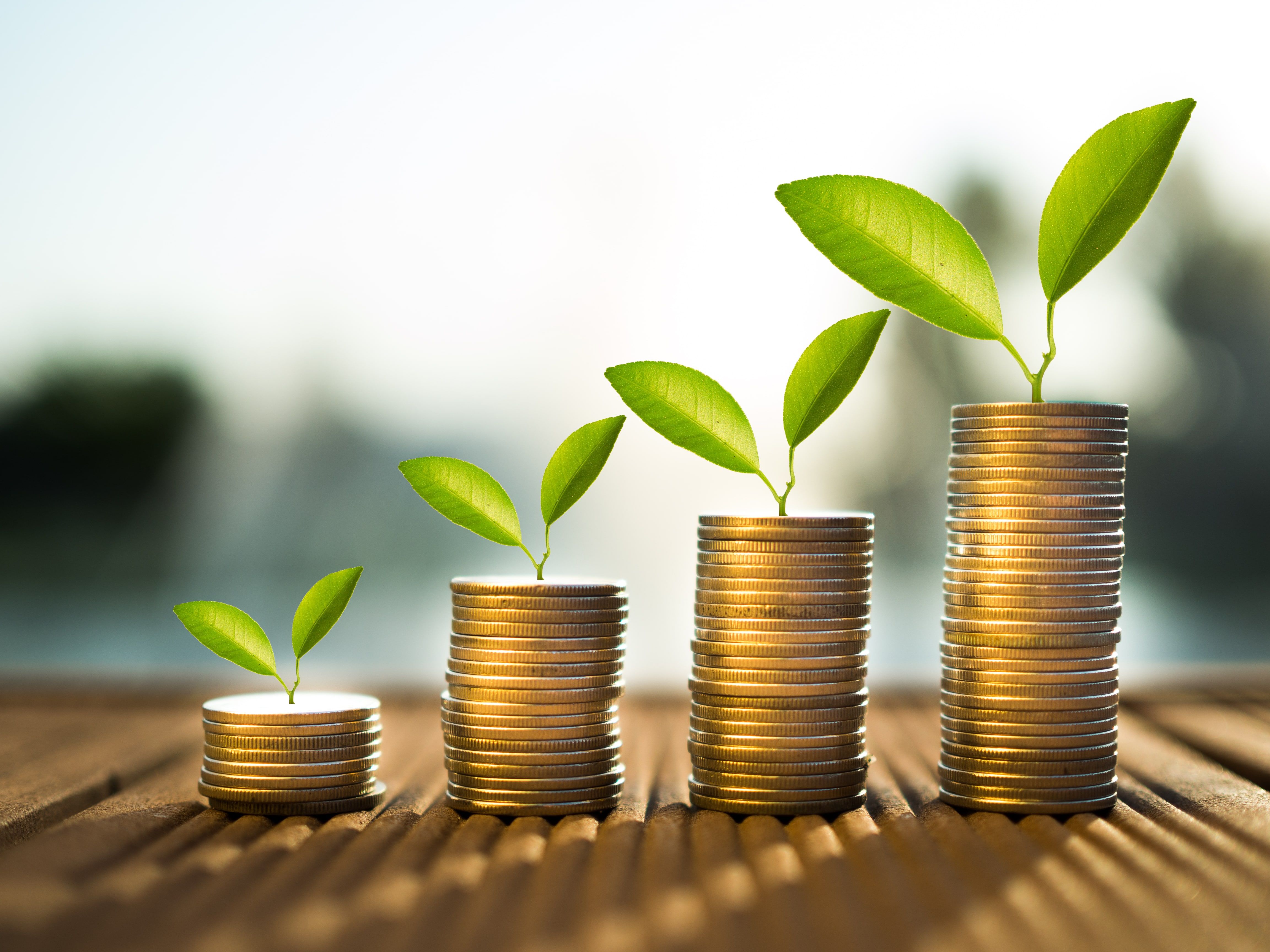 MSME financing: What you need to know about funding your business-image