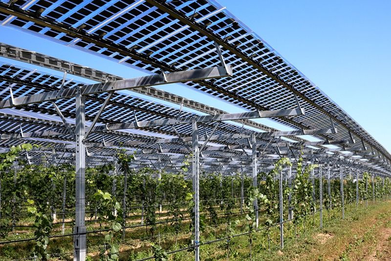 PEB technology for large-scale agricultural projects-image
