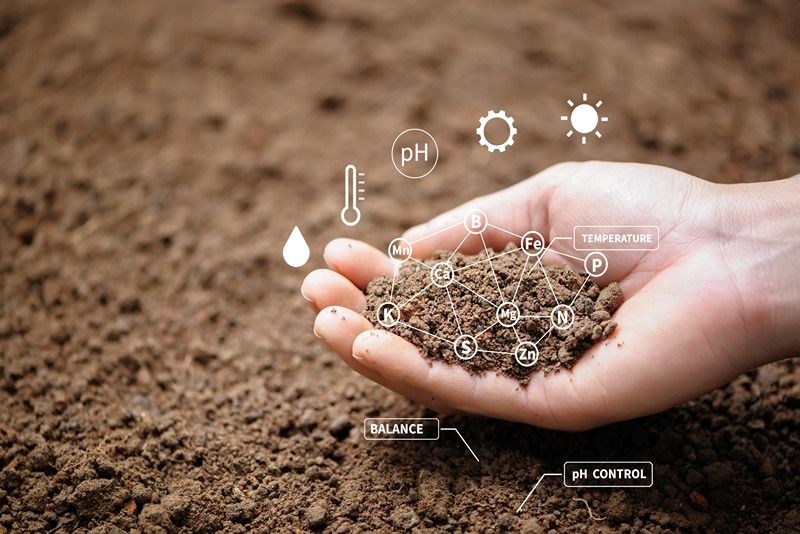 Why are soil analysis and site preparation for installing steel support important in solar panels?-image